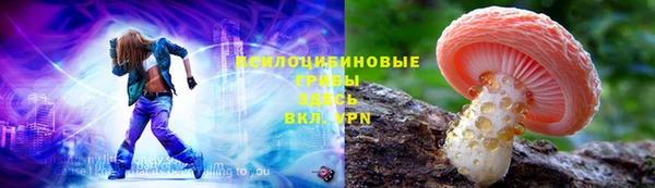 соль ск Елизово