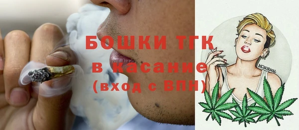 спайс Ельня