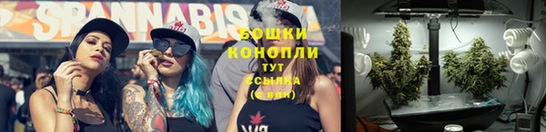 соль ск Елизово