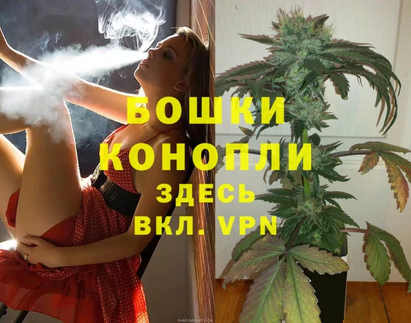 спайс Ельня