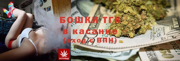 спайс Ельня
