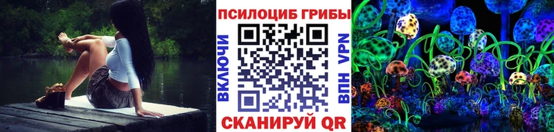 ссылка на мегу   дарнет шоп  Сенгилей  Псилоцибиновые грибы Psilocybine cubensis 